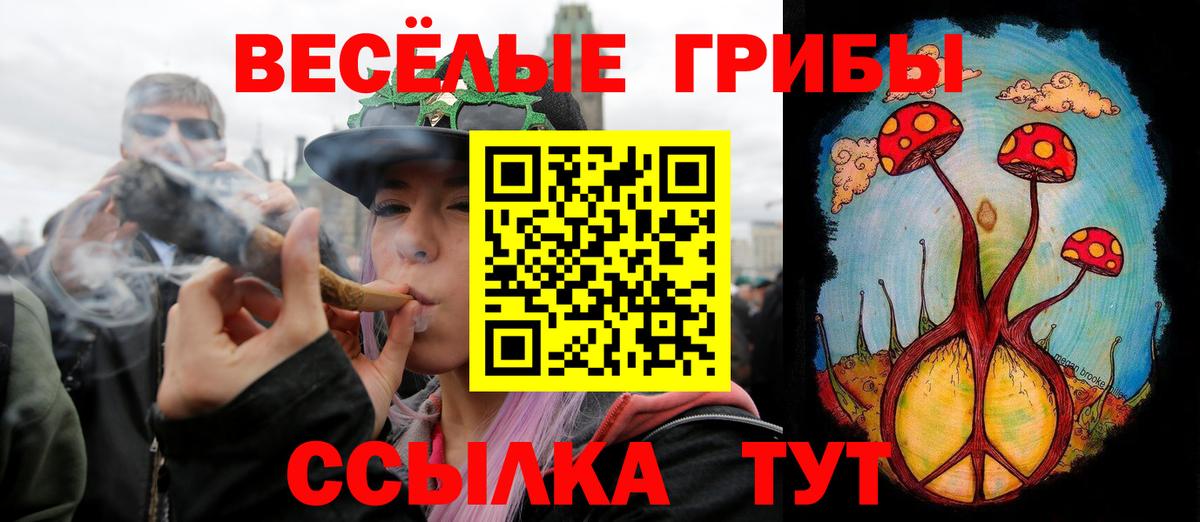 Заволжье  Галлюциногенные грибы мицелий  Вход с VPN 