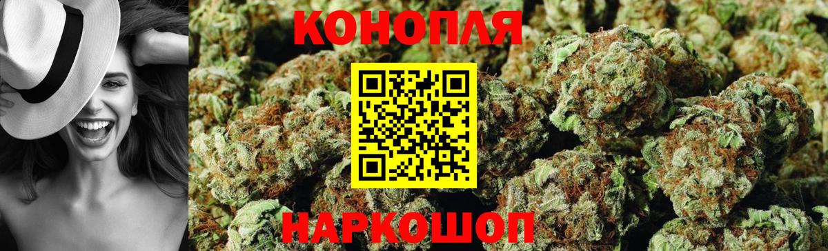 Шишки марихуана гибрид Заволжье